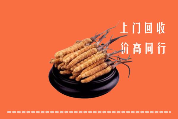 高价求购：吐鲁番市高昌回收散虫草