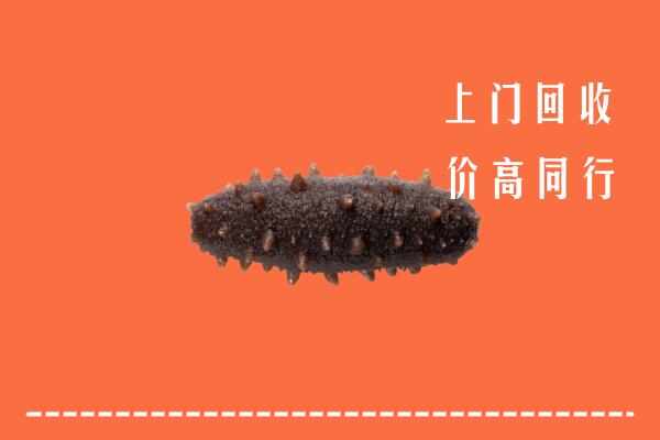 高价求购：吐鲁番市高昌回收海参