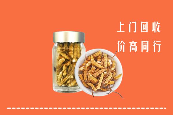 吐鲁番市高昌回收冬虫夏草